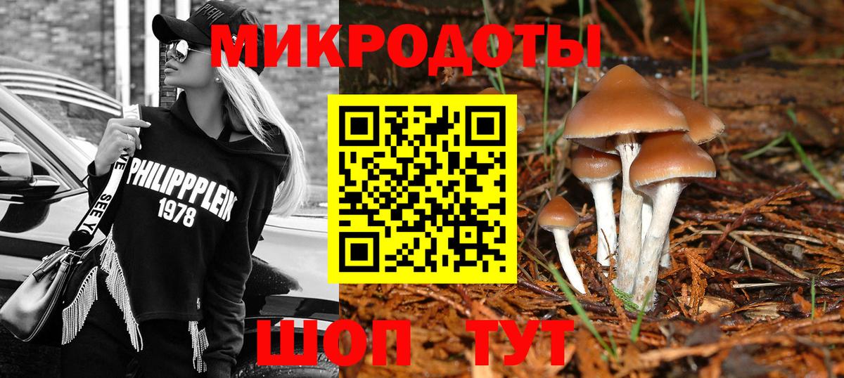 Галлюциногенные грибы Cubensis  Вход с VPN  Сочи 